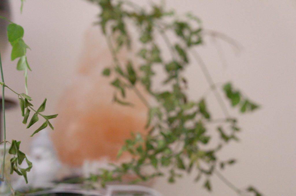 “Warm and inviting therapy office with salt lamp, plants, and natural light—space for trauma-informed therapy, somatic healing, and compassionate care with Angelica Emery-Fertitta, LICSW